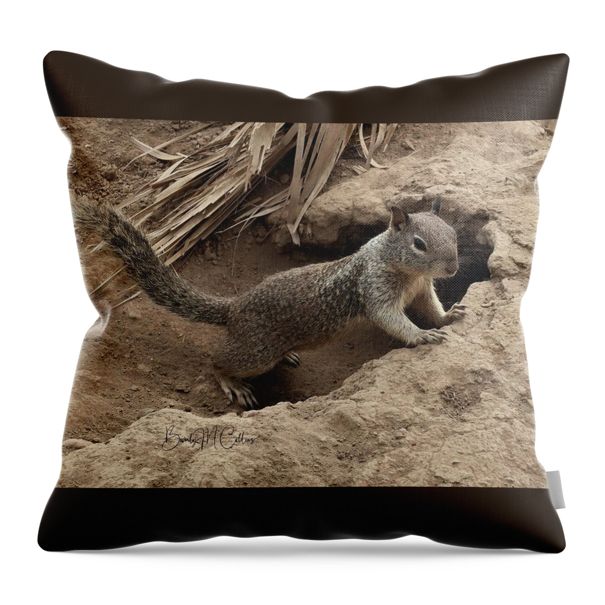 Ground Squirrel Throw Pillow featuring the photograph Ground Squirrel by Burrow by Beverly M Collins