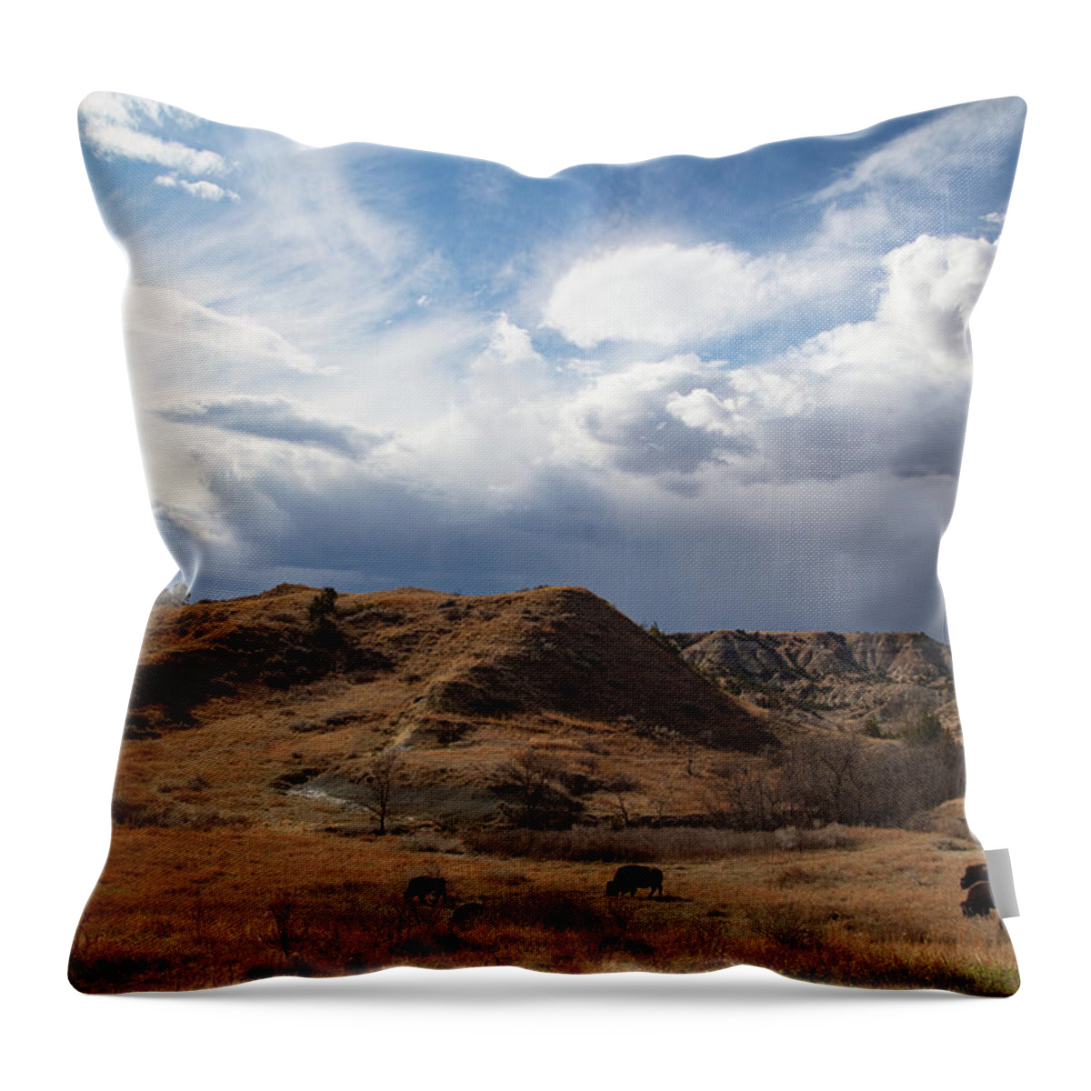 Buffalo Throw Pillow featuring the photograph Group of buffalo at Theodore Roosevelt National Park in North Dakota by Eldon McGraw