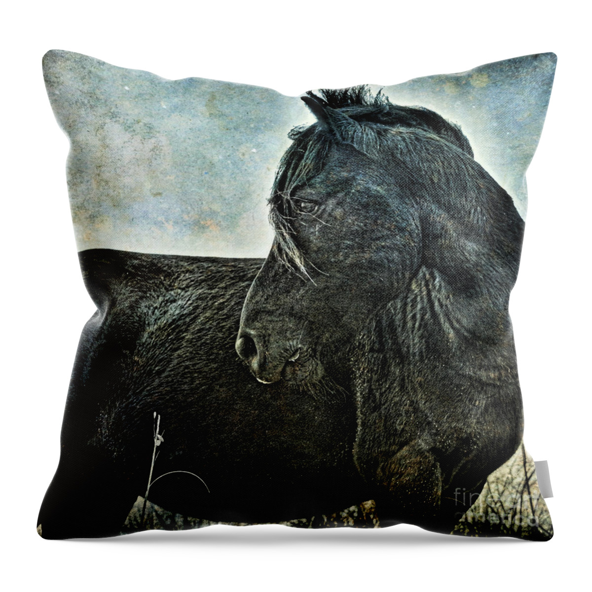 Horse Throw Pillow featuring the photograph Guardian by Parrish Todd