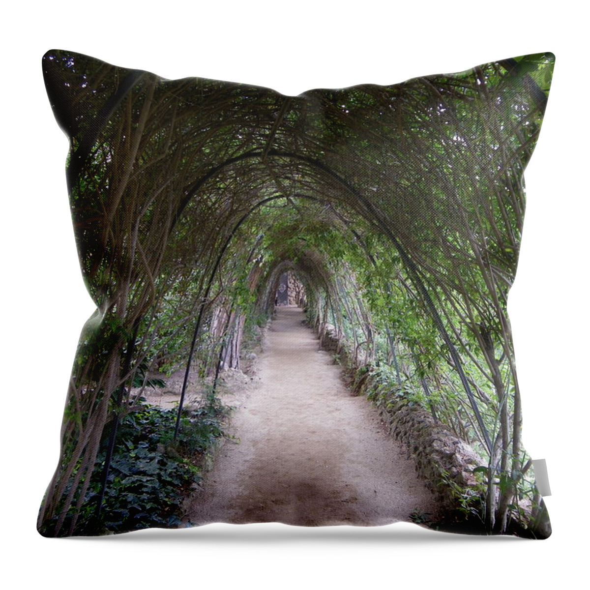 Arbour Throw Pillow featuring the photograph Guell arbour by Lisa Mutch