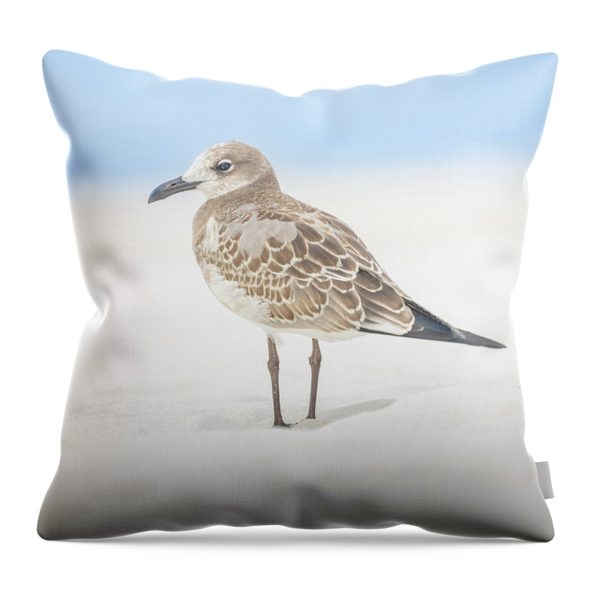 Seagull Throw Pillow featuring the photograph Gull In The Sand Florida Emerald Coast by Jordan Hill