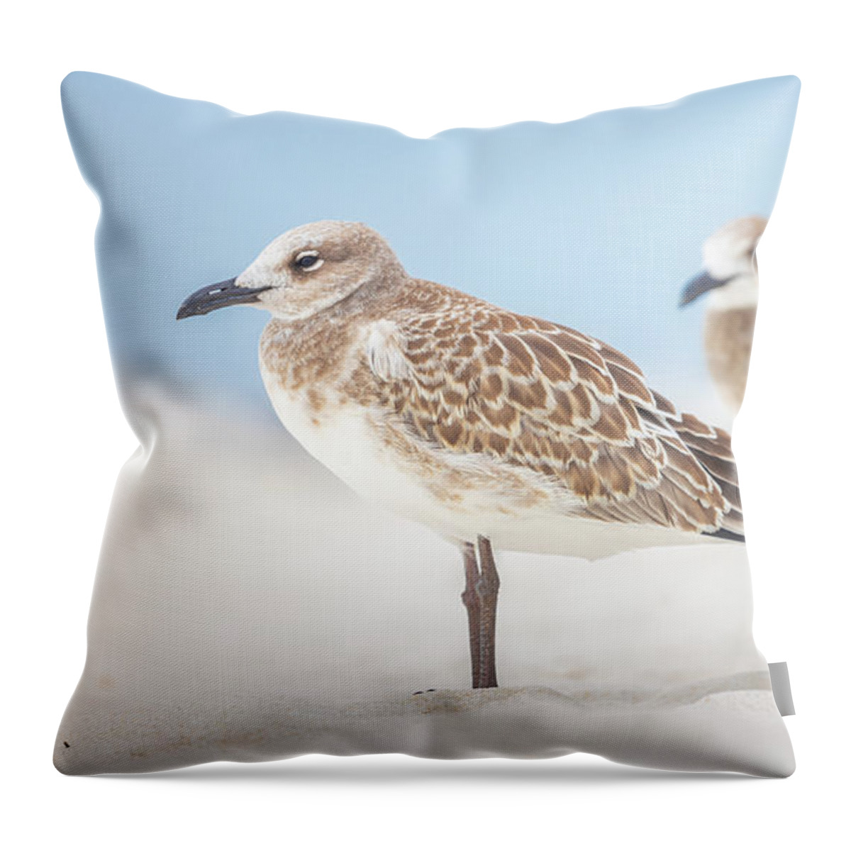 Seagull Throw Pillow featuring the photograph Gulls In The Sand Emerald Coast by Jordan Hill