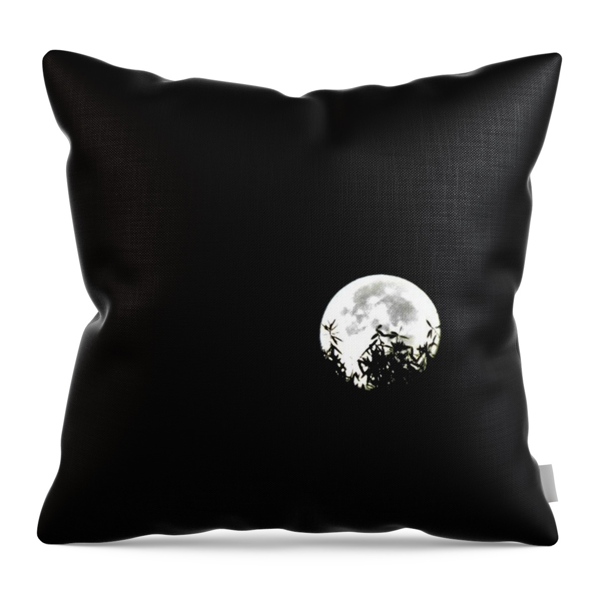 Halloween Throw Pillow featuring the photograph Halloween Moon Theme by Ed Williams
