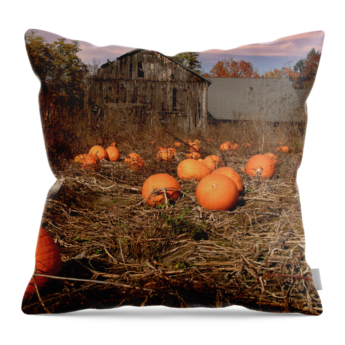 Autumn Foliage Massachusetts Throw Pillow featuring the photograph Halloween Pumpkin Patch in Hatfield by Jeff Folger