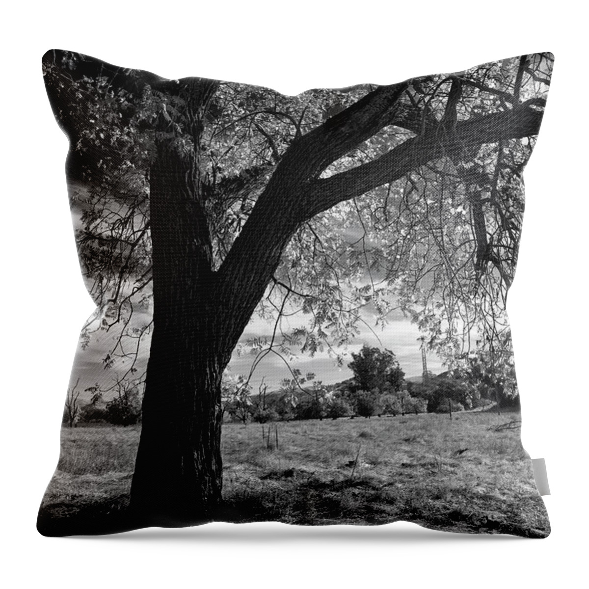 Livermore Throw Pillow featuring the photograph Hand in Hand We Walked by Laurie Search