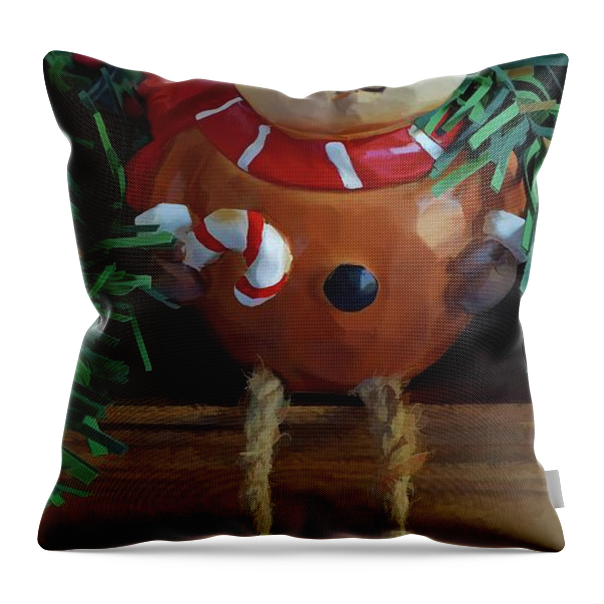 Christmas Décor Throw Pillow featuring the photograph Hanging Around Two by Roberta Byram