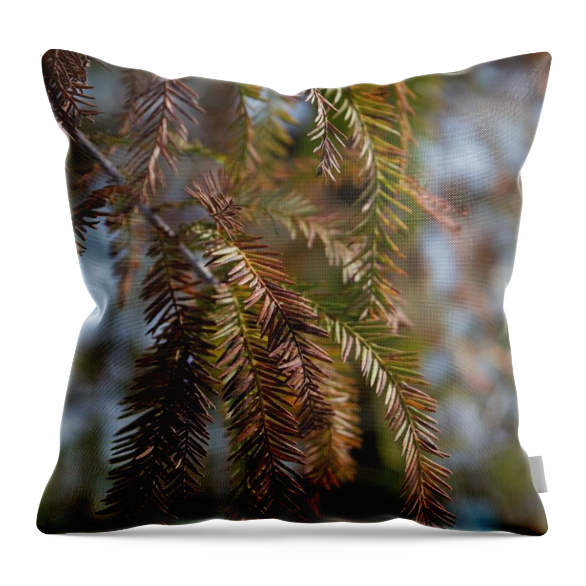 Tree Throw Pillow featuring the photograph Hanging Branch by Karen Harrison Brown