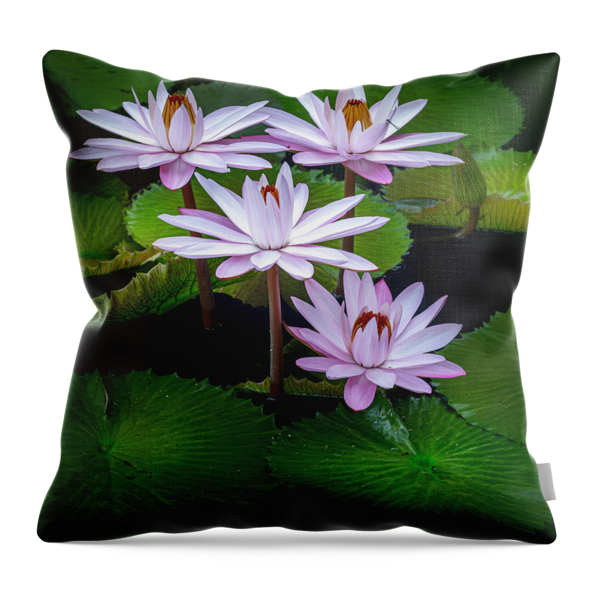 Floral Throw Pillow featuring the photograph Hanging out with each other. by Usha Peddamatham