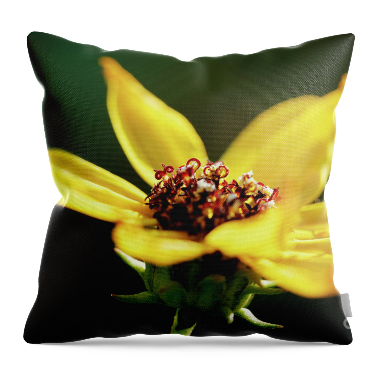 Green Throw Pillow featuring the photograph Happiness Is Yellow by Marvin Spates