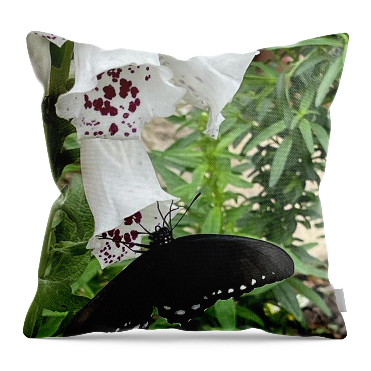 Butterfly Black White Flower Maroon Leaves Green Beige Wall Insect Throw Pillow featuring the digital art Happy Butterfly by Kathleen Boyles