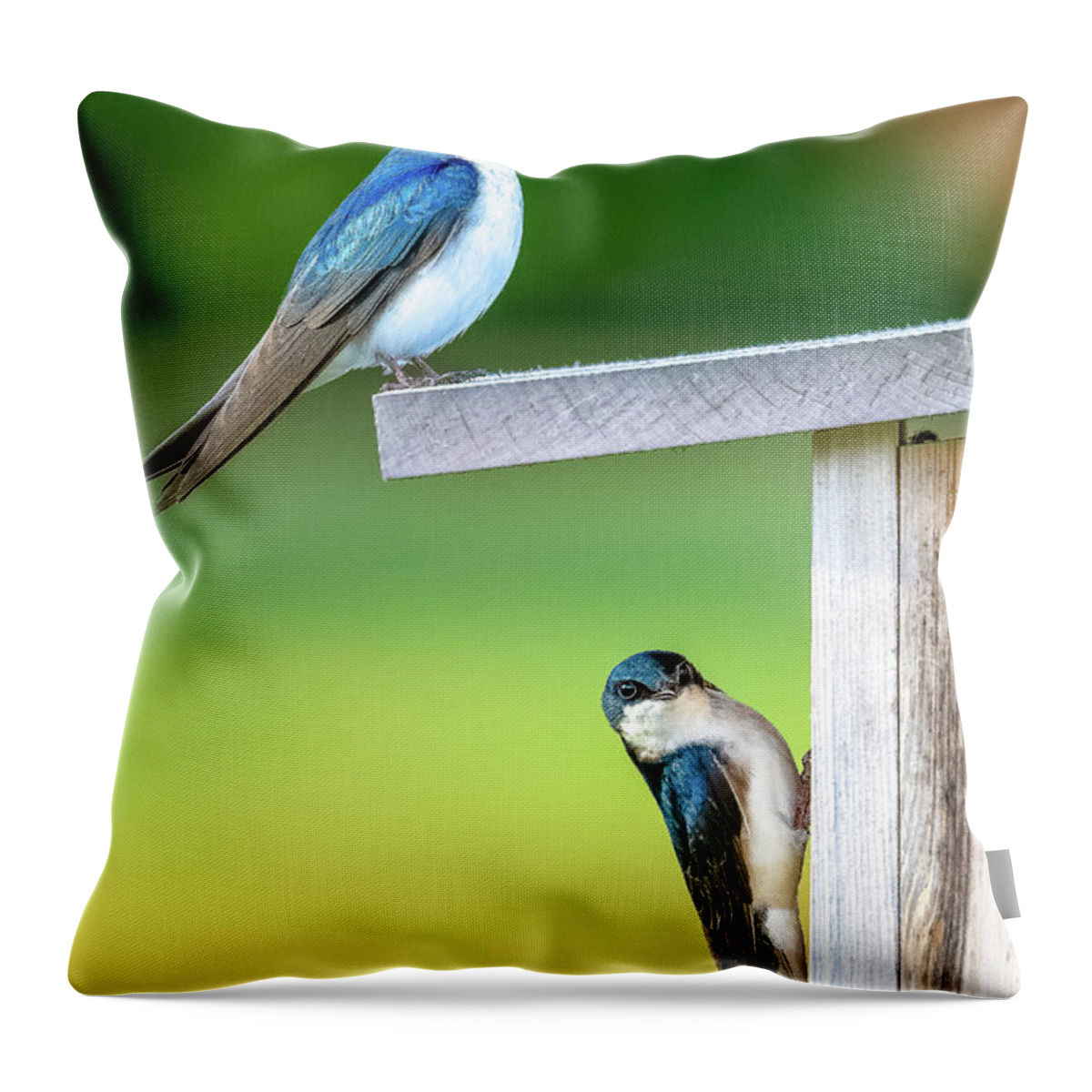 Swallow Throw Pillow featuring the photograph Happy Couple by Brad Bellisle