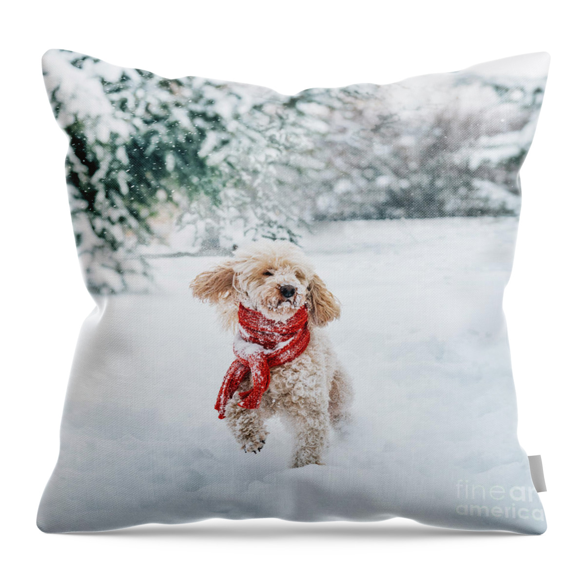 Dog Throw Pillow featuring the photograph Happy little dog with red scarf playing in the snow. by Jelena Jovanovic