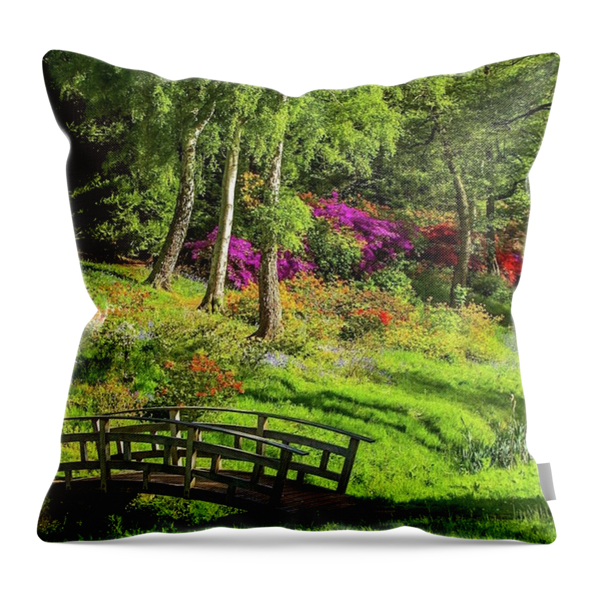 Nature Canvas Throw Pillow featuring the photograph Nature In Balance by Monique Wegmueller