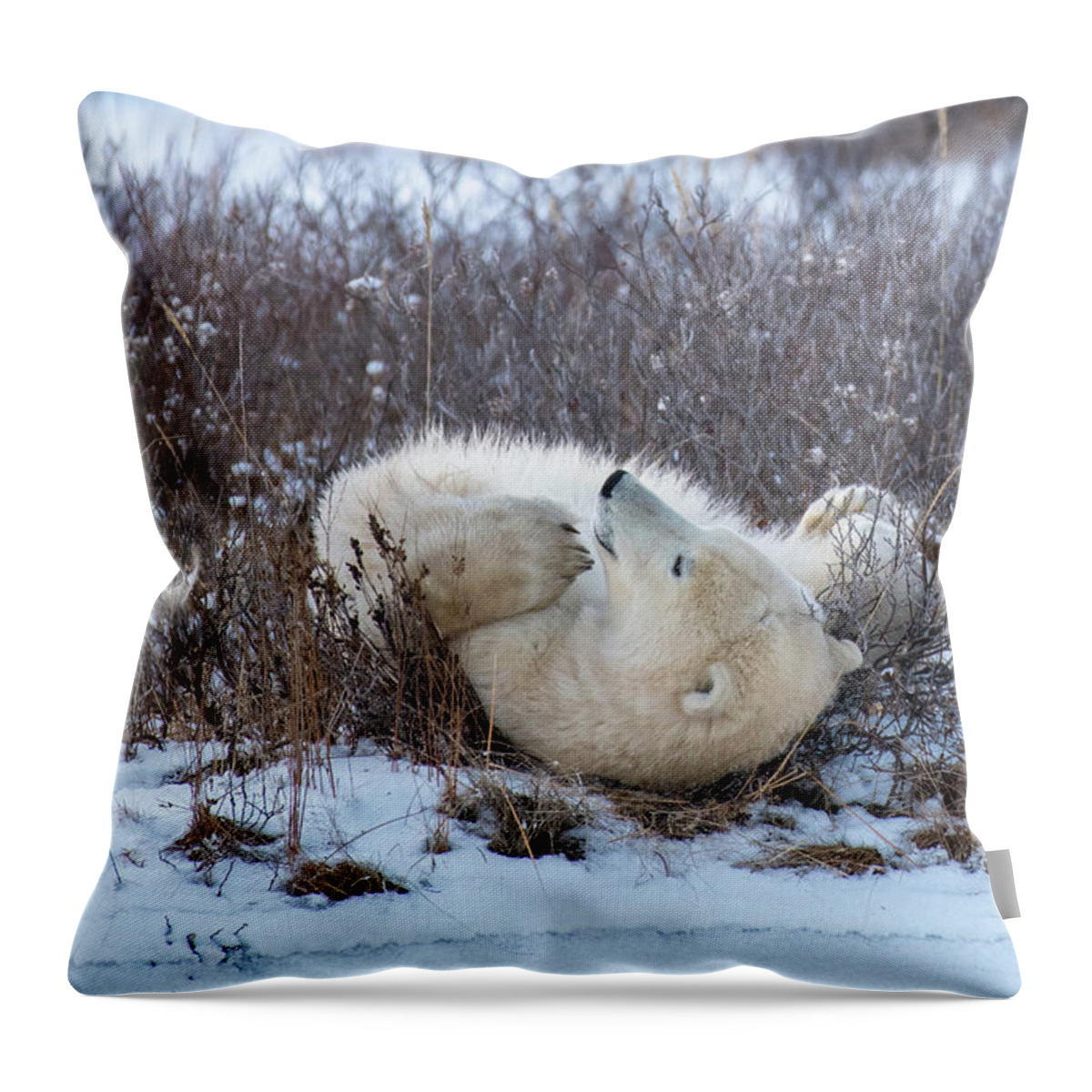 Polar Bear Throw Pillow featuring the photograph Happy Polar Bear by Mark Hunter
