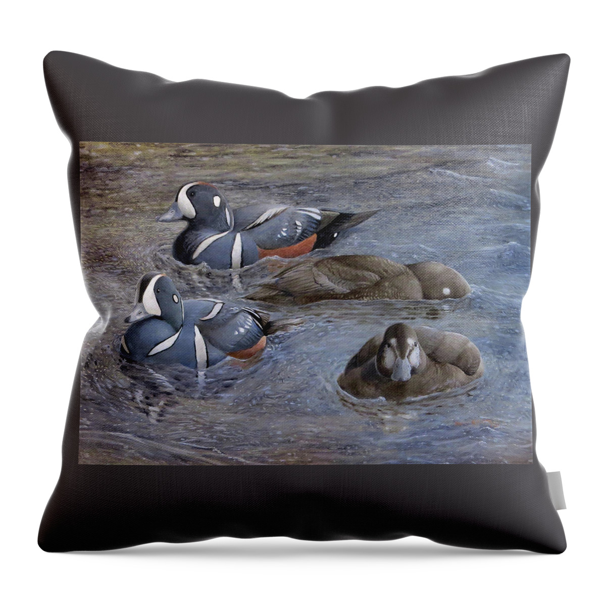 Harlequin Duck Throw Pillow featuring the painting Harlequin Ducks by Barry Kent MacKay