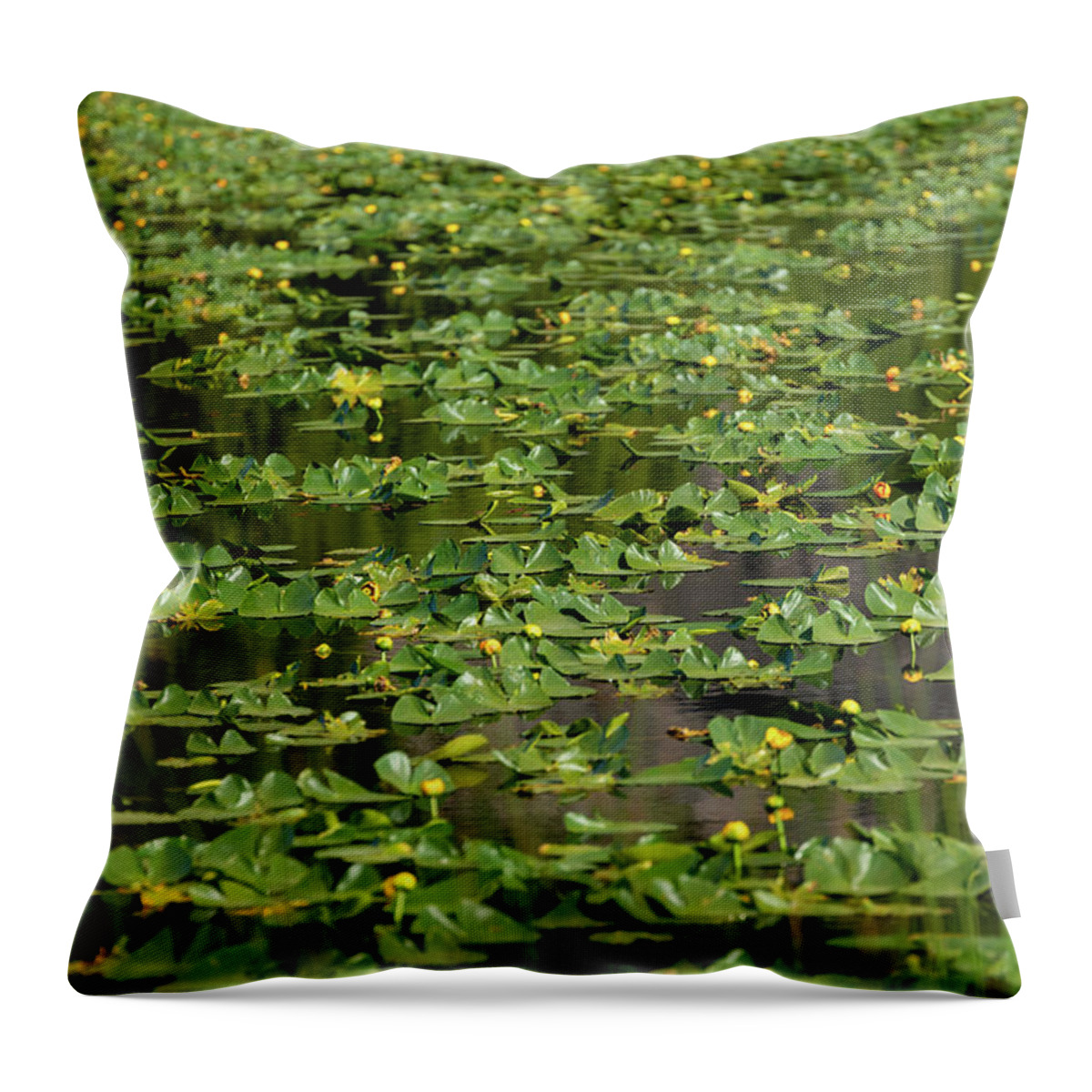 Yellowstone Throw Pillow featuring the photograph Harlequin Lake Lily Pads by Tara Krauss