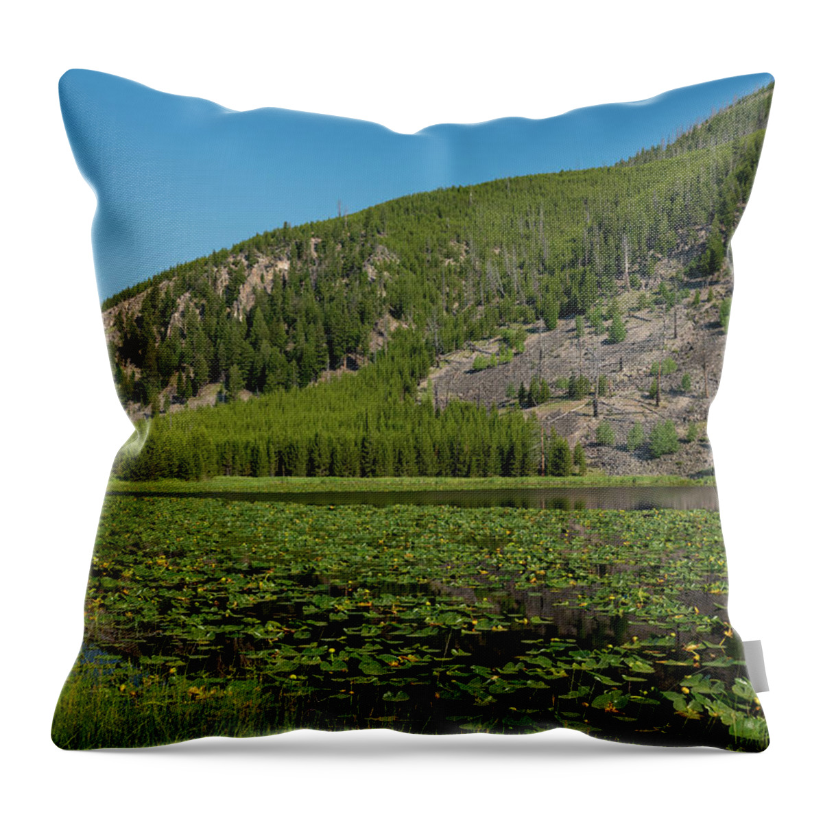 Yellowstone Throw Pillow featuring the photograph Harlequin Lake by Tara Krauss