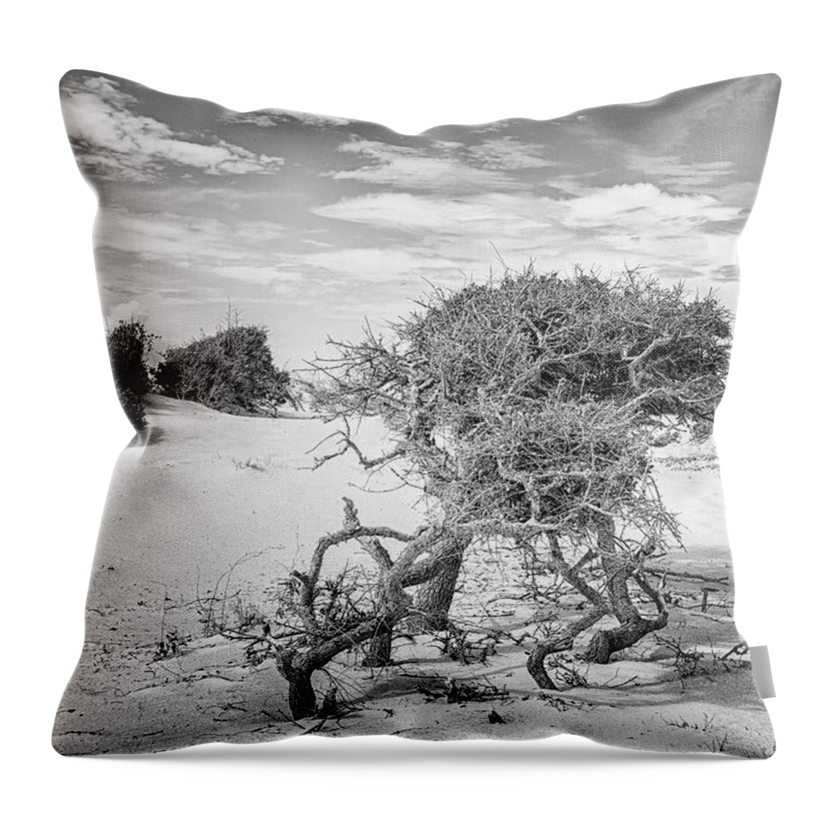Cedar Island Throw Pillow featuring the photograph Harsh Environment - the Struggle for Life on a Remote Beach by Bob Decker