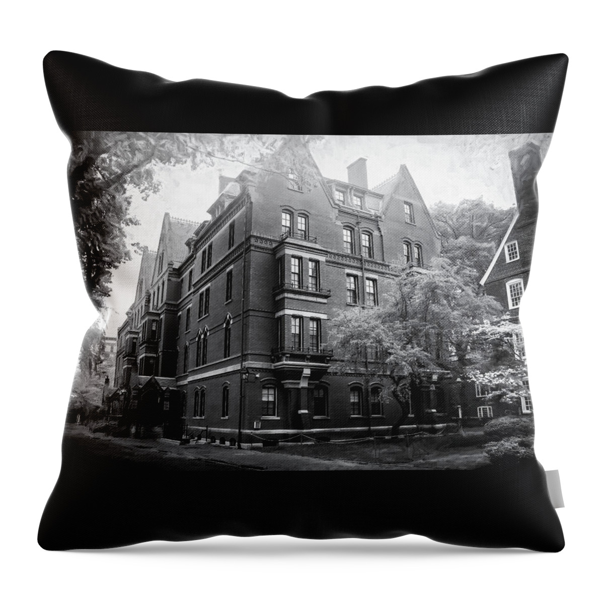 Harvard Yard Throw Pillow featuring the photograph Harvard Yard Cambridge Massachusetts Black and White by Carol Japp