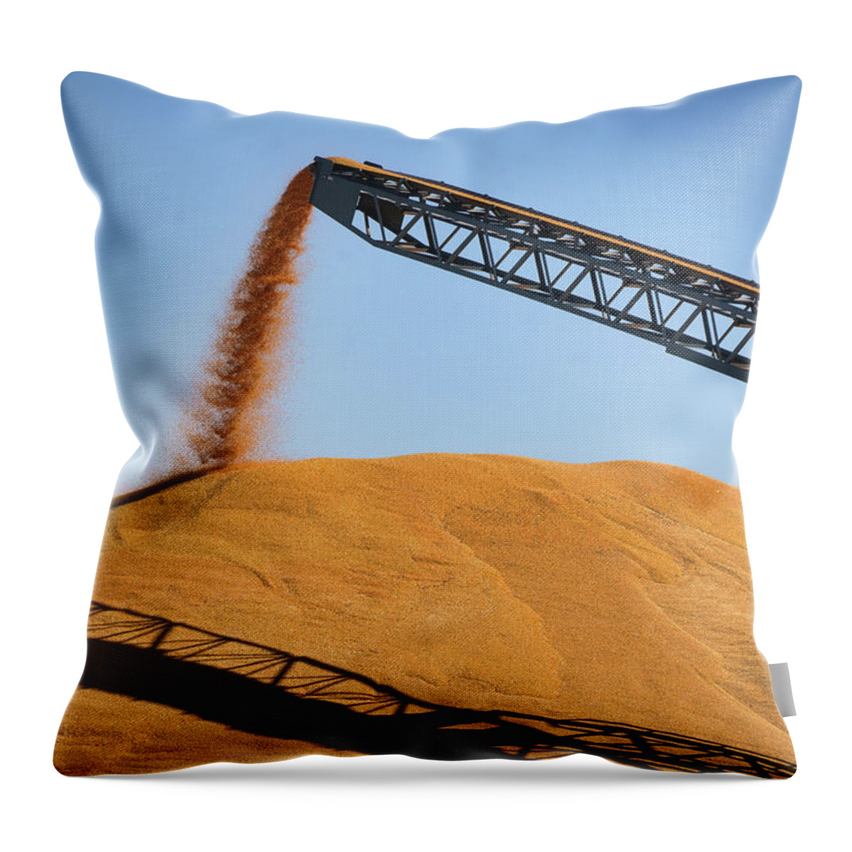 Agriculture Throw Pillow featuring the photograph Harvesting Gold - Corn - Grain Pile by Nikolyn McDonald