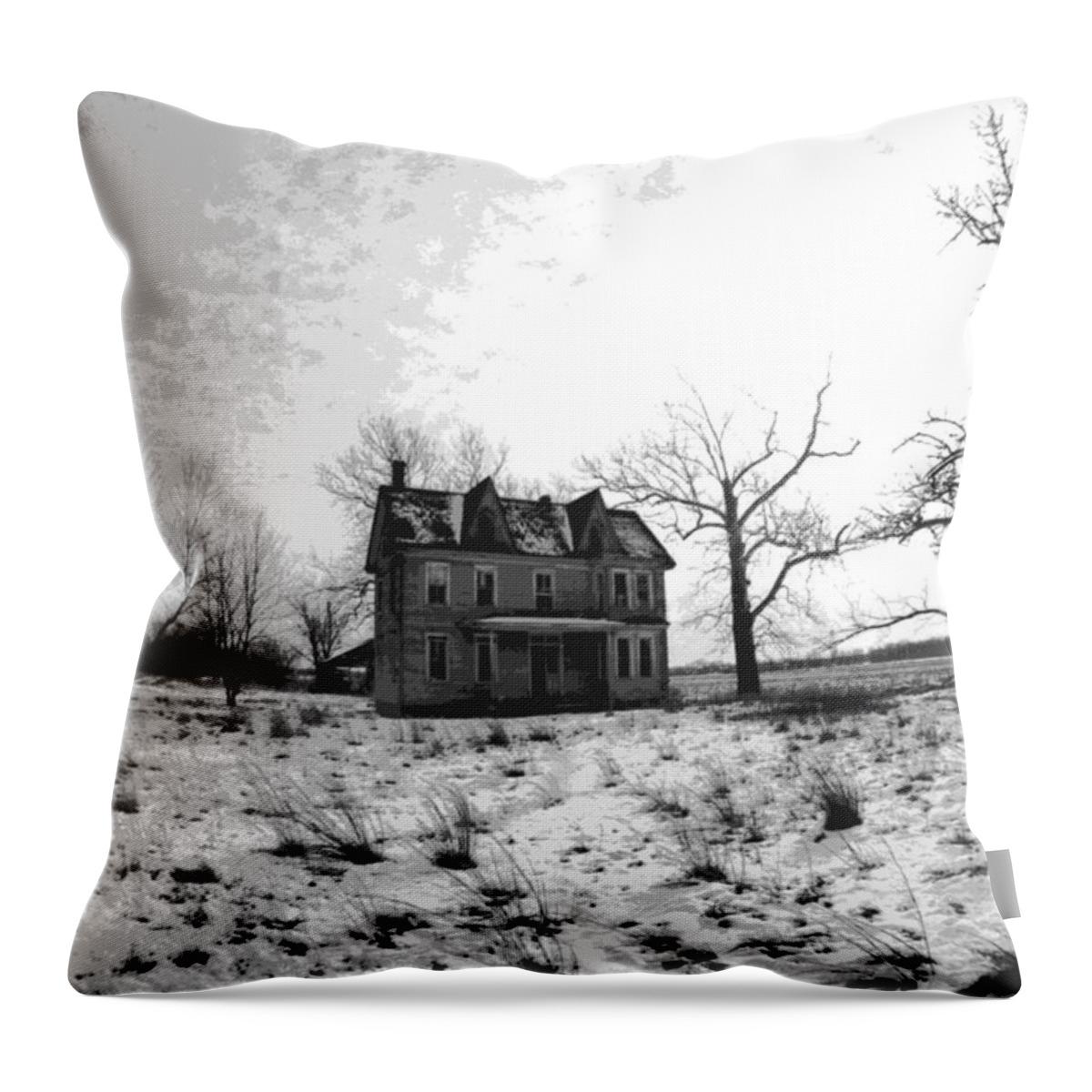 Haunted Throw Pillow featuring the photograph Haunted House by Steven Huszar