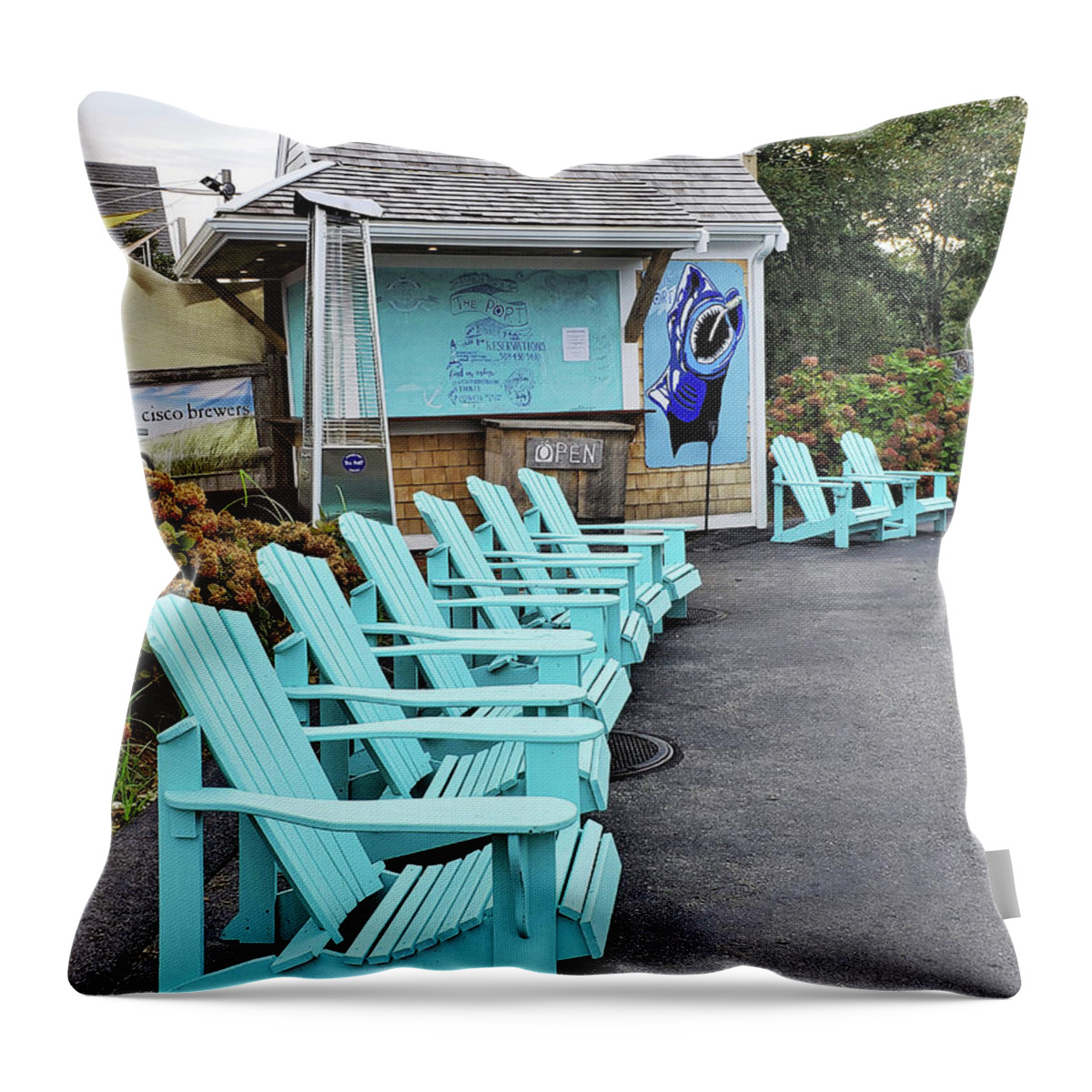 Landscape Throw Pillow featuring the photograph Have a Seat 1 by Sharon Williams Eng