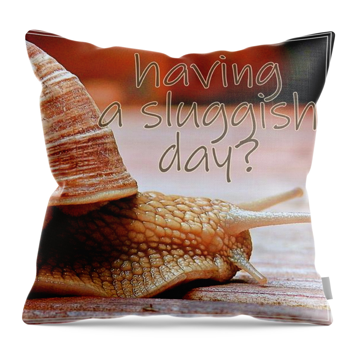 Tired Throw Pillow featuring the photograph Having A Sluggish Day by Claudia Zahnd-Prezioso