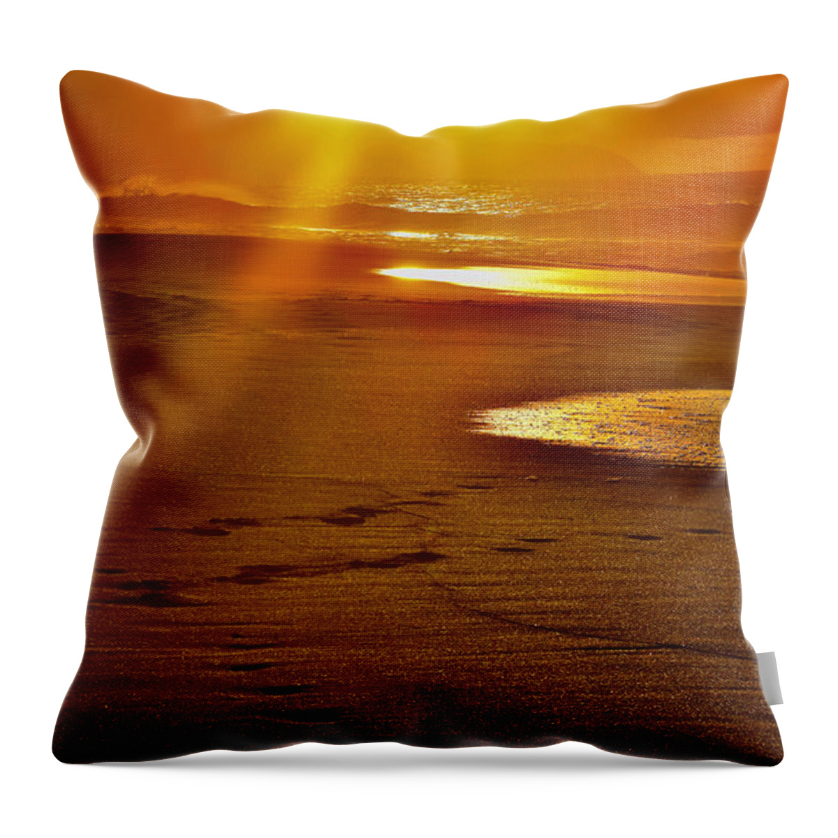 Hawaii Throw Pillow featuring the photograph Hawaiian Golden Shores by Debra Banks