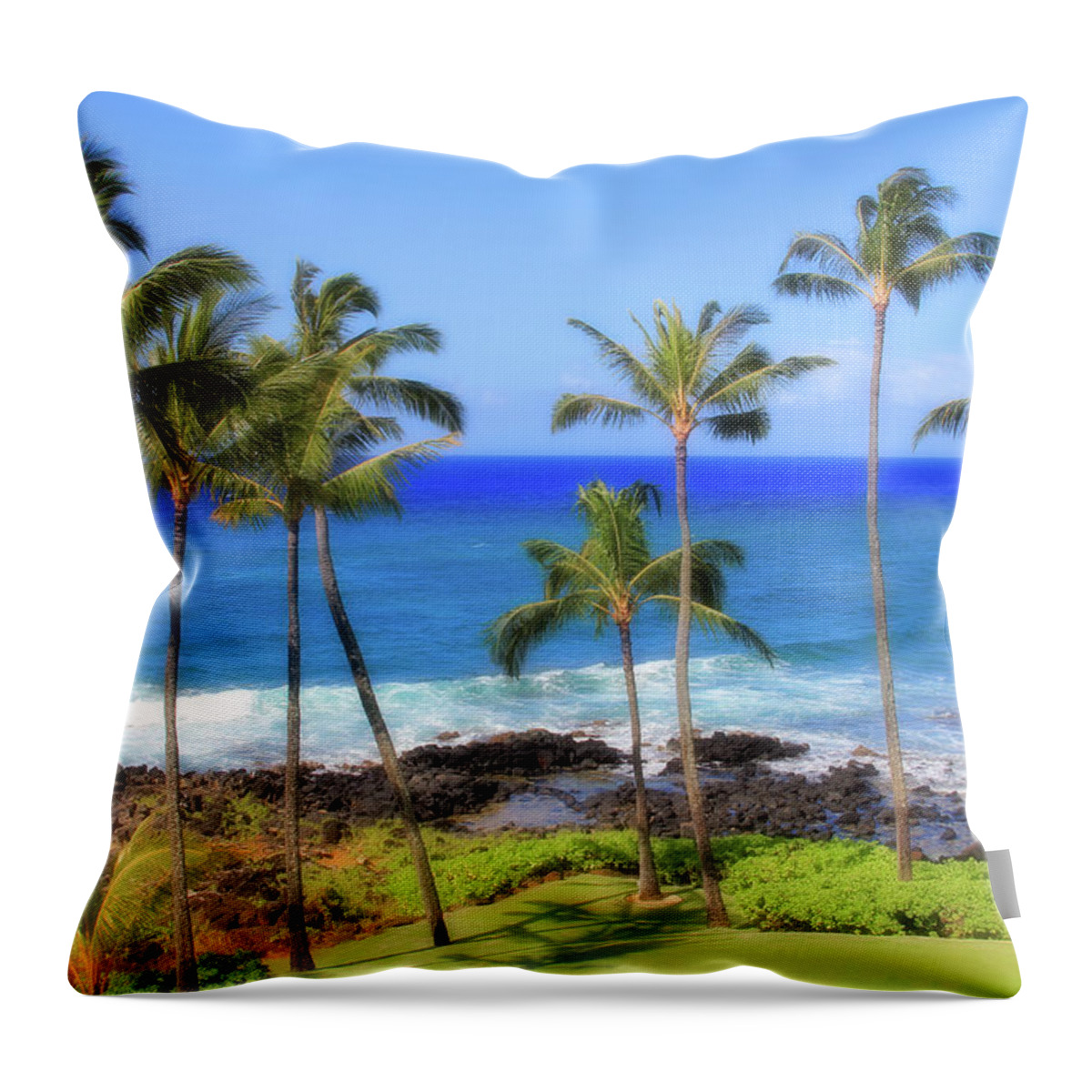 Trees Throw Pillow featuring the photograph Hawaiian Palm Trees by Robert Carter