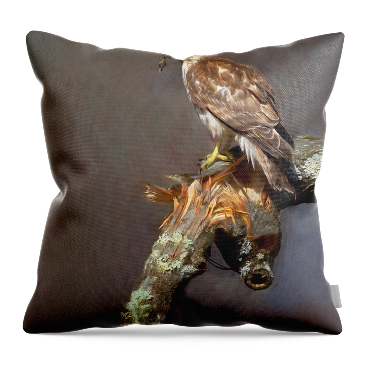 Hawk Throw Pillow featuring the photograph Hawk and Frog by Art Cole