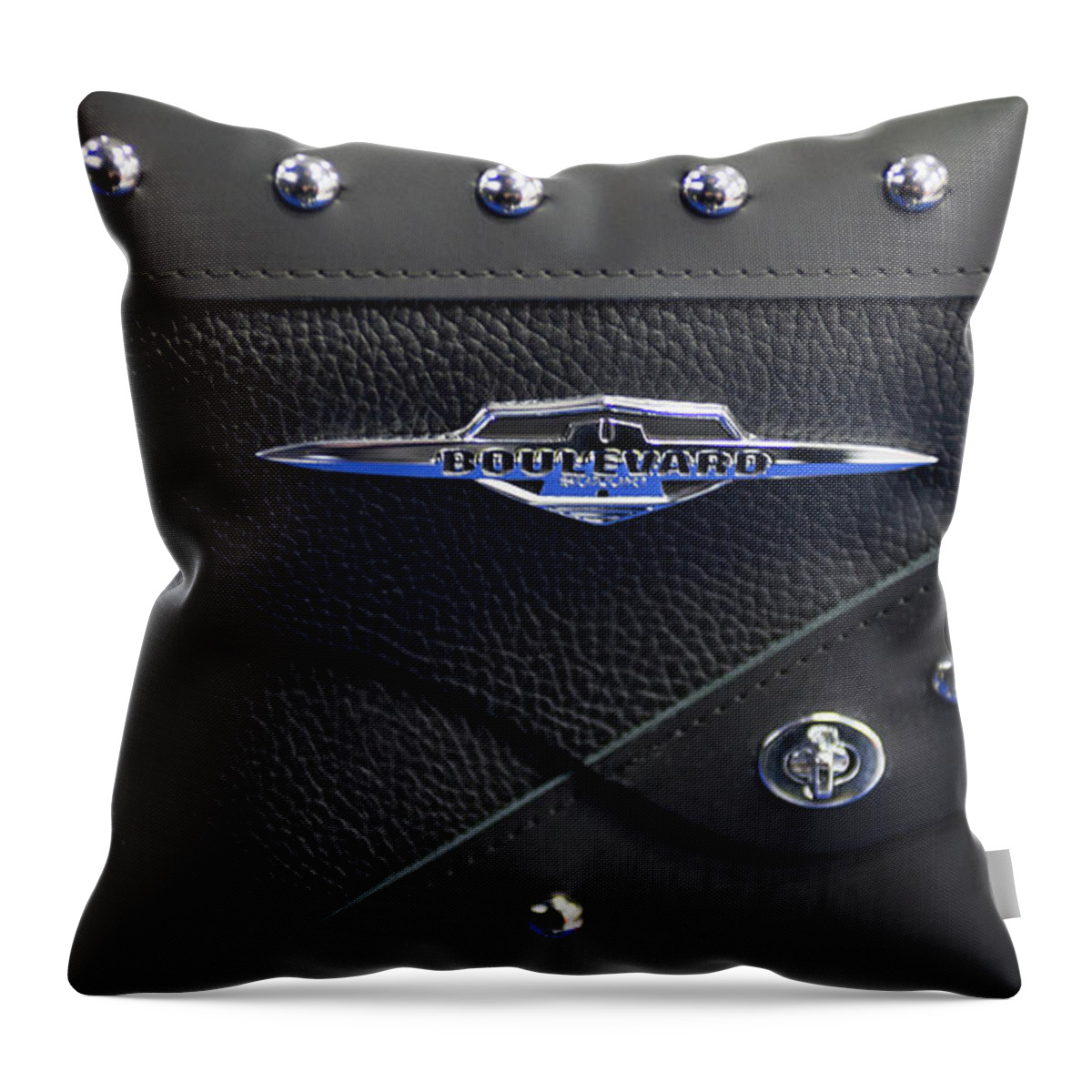 Dv8.ca Throw Pillow featuring the photograph HD Saddle Bag by Jim Whitley