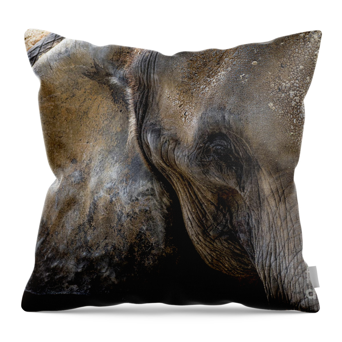 Adult Throw Pillow featuring the photograph Head Of An Old African Elephant With Wrinkled Skin by Andreas Berthold