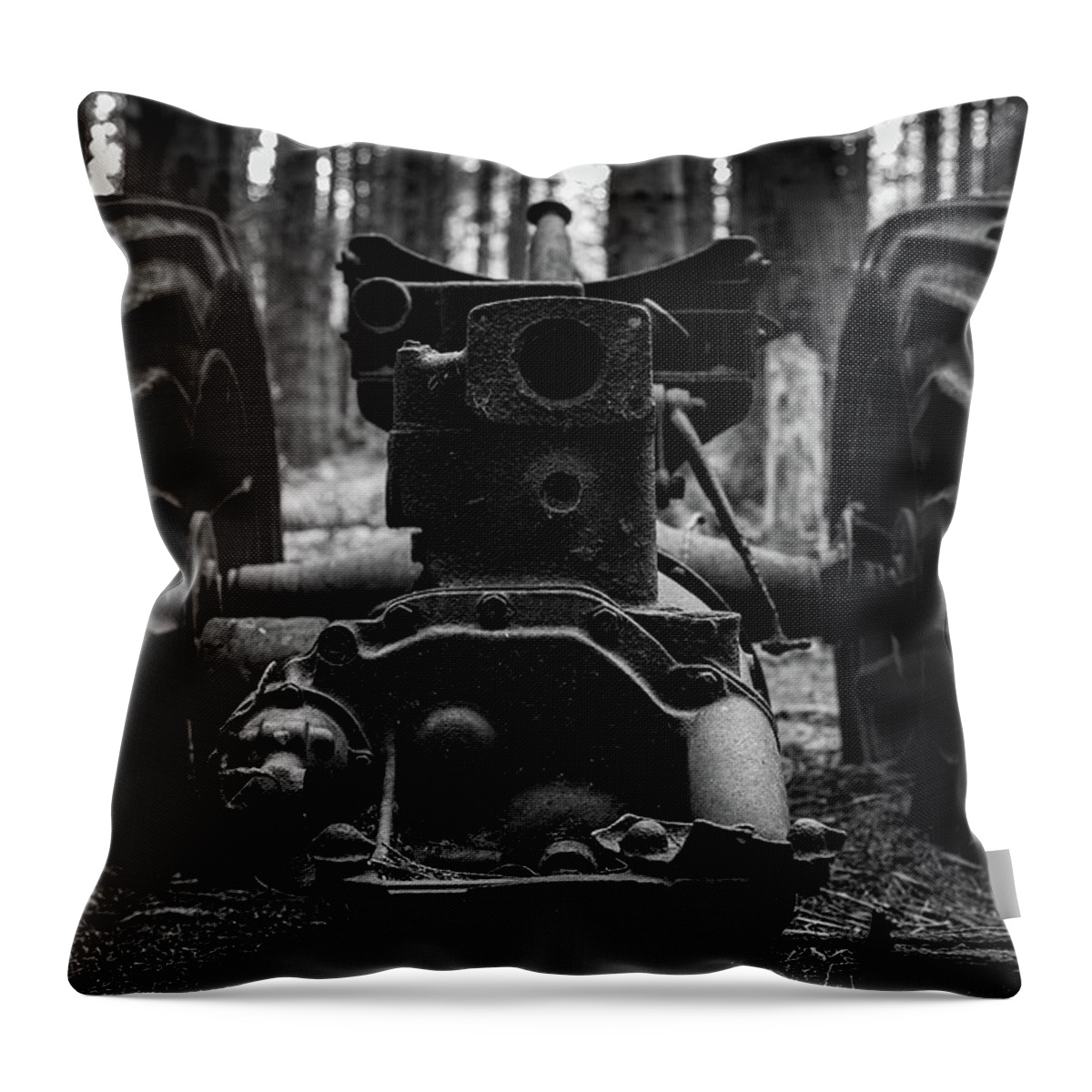 Wales Throw Pillow featuring the photograph Head on by Gavin Lewis