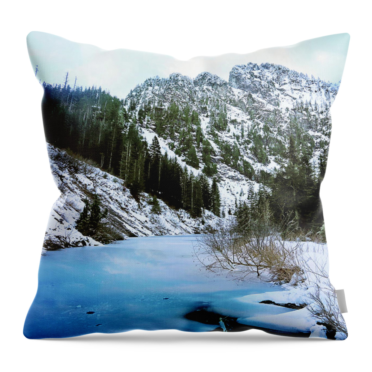 Lake Throw Pillow featuring the photograph Heather Lake by Sylvia Cook