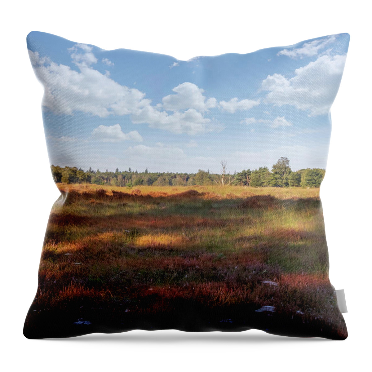 Heathland Landscape Throw Pillow featuring the photograph Heathland landscape by MPhotographer