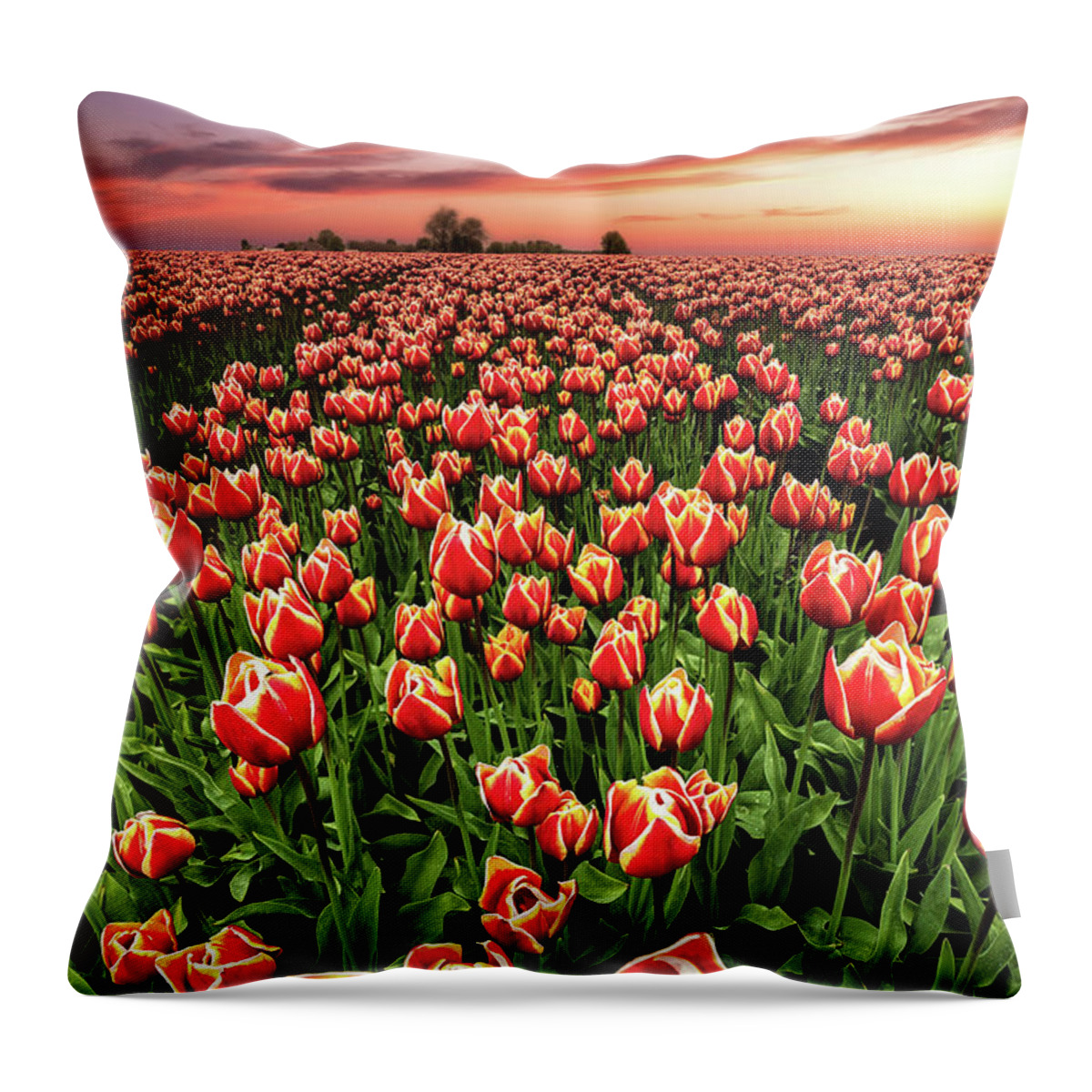 Landscape Throw Pillow featuring the photograph Heaven and Earth by Jorge Maia