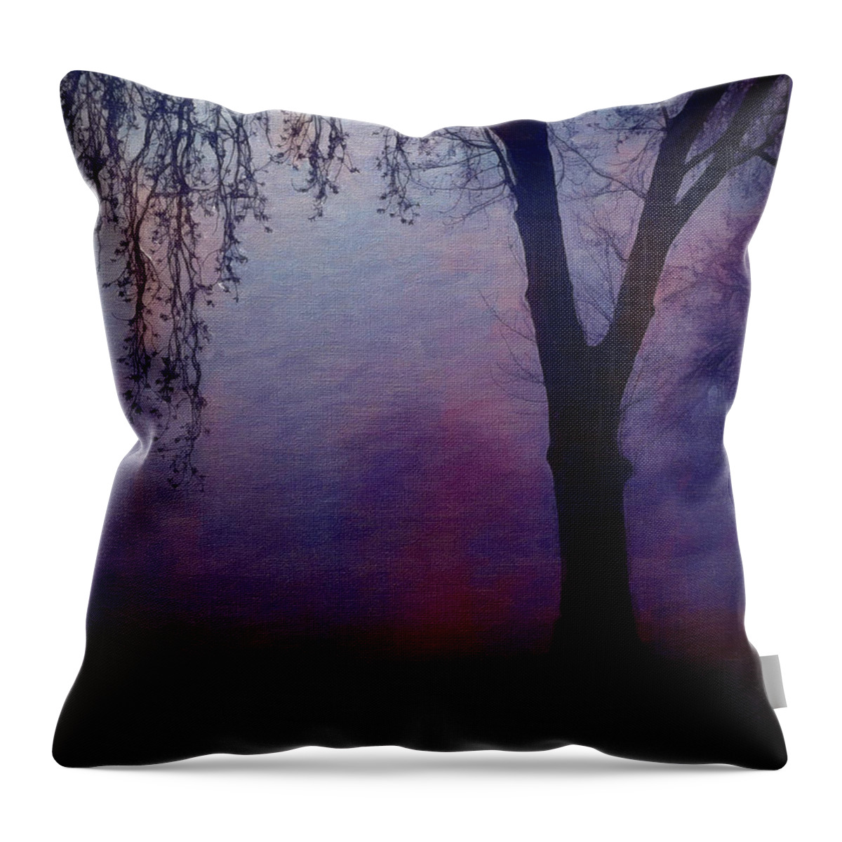 Twilight Throw Pillow featuring the digital art Heavenly shades by Chris Armytage