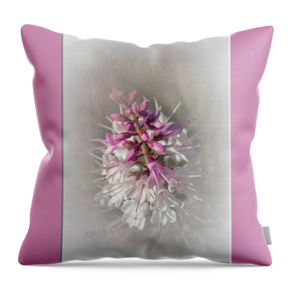 Flowers Throw Pillow featuring the photograph Hebe by Elaine Teague