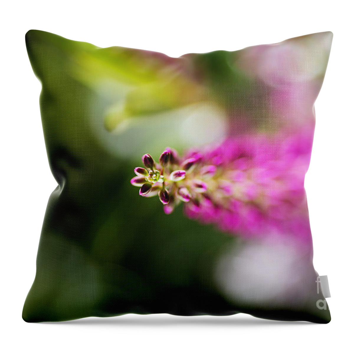 Hebe Painted Nature Throw Pillow featuring the photograph Hebe Painted Nature by Joy Watson