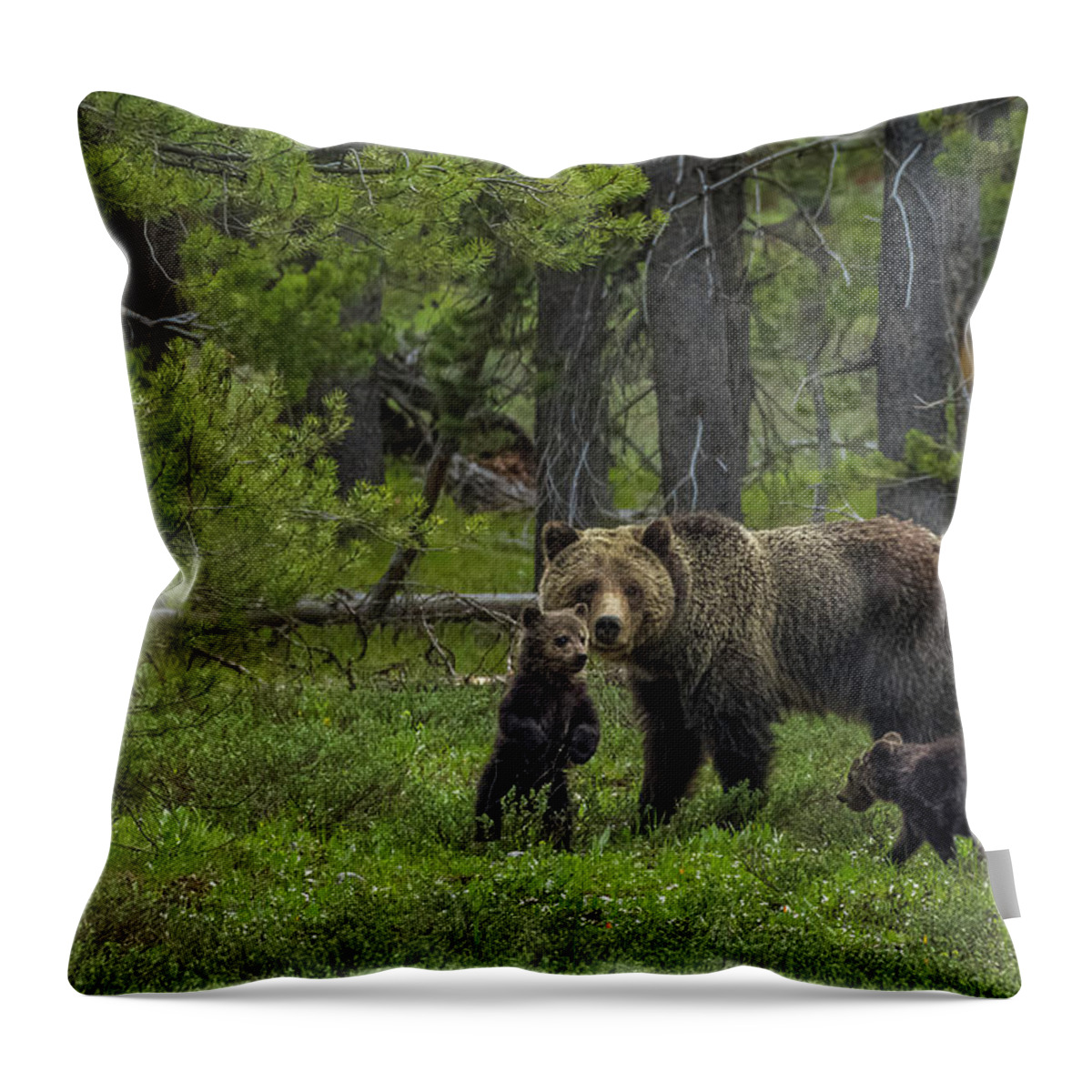Blondie Throw Pillow featuring the photograph Hello World by Yeates Photography