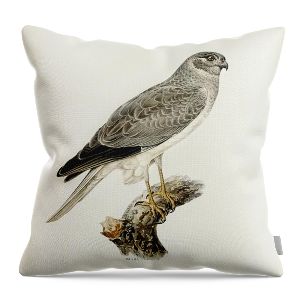 Vintage Print Throw Pillow featuring the mixed media Hen Harrier by World Art Collective