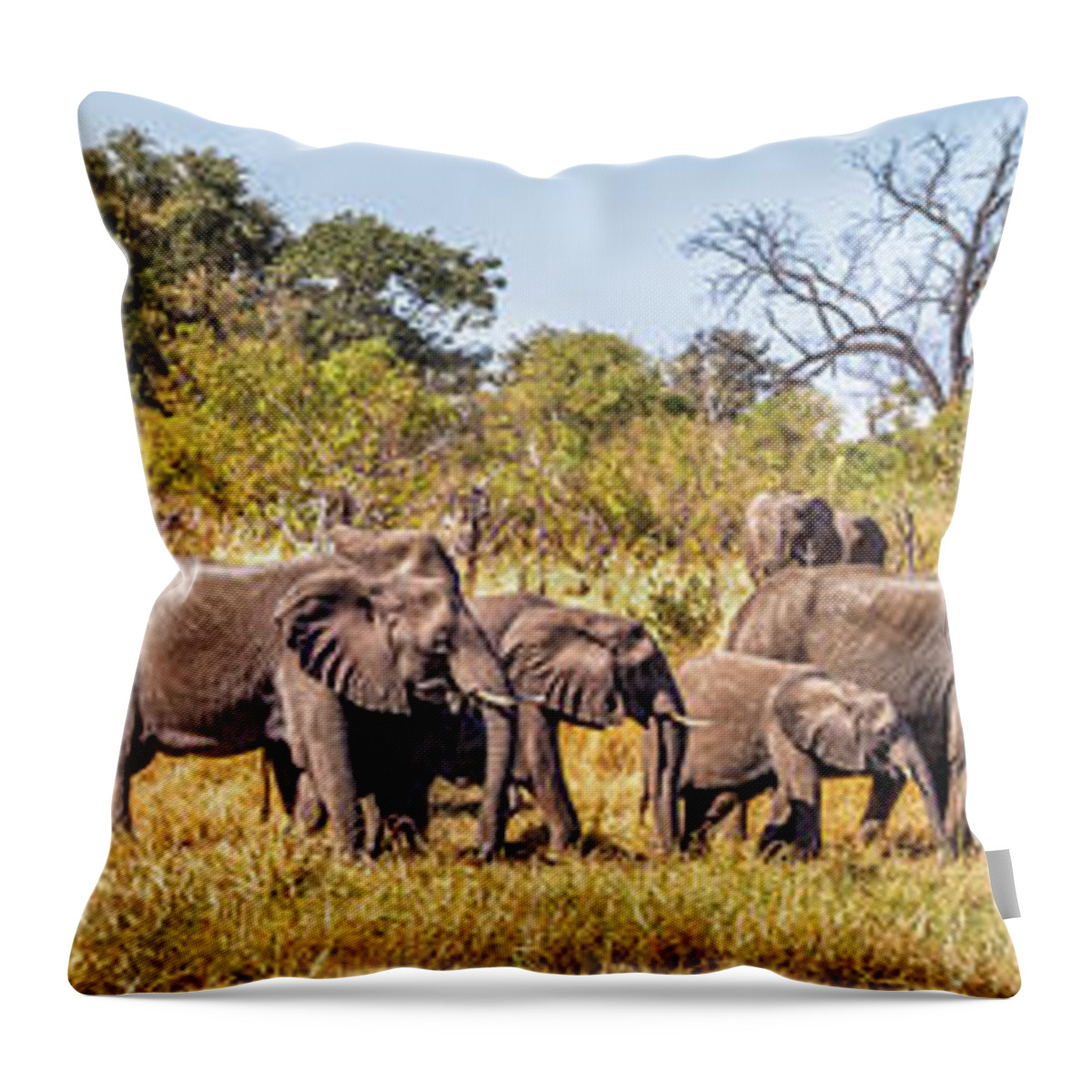 African Elephants Throw Pillow featuring the photograph Herd of Elephants on the Way to Watering Hole by Elvira Peretsman