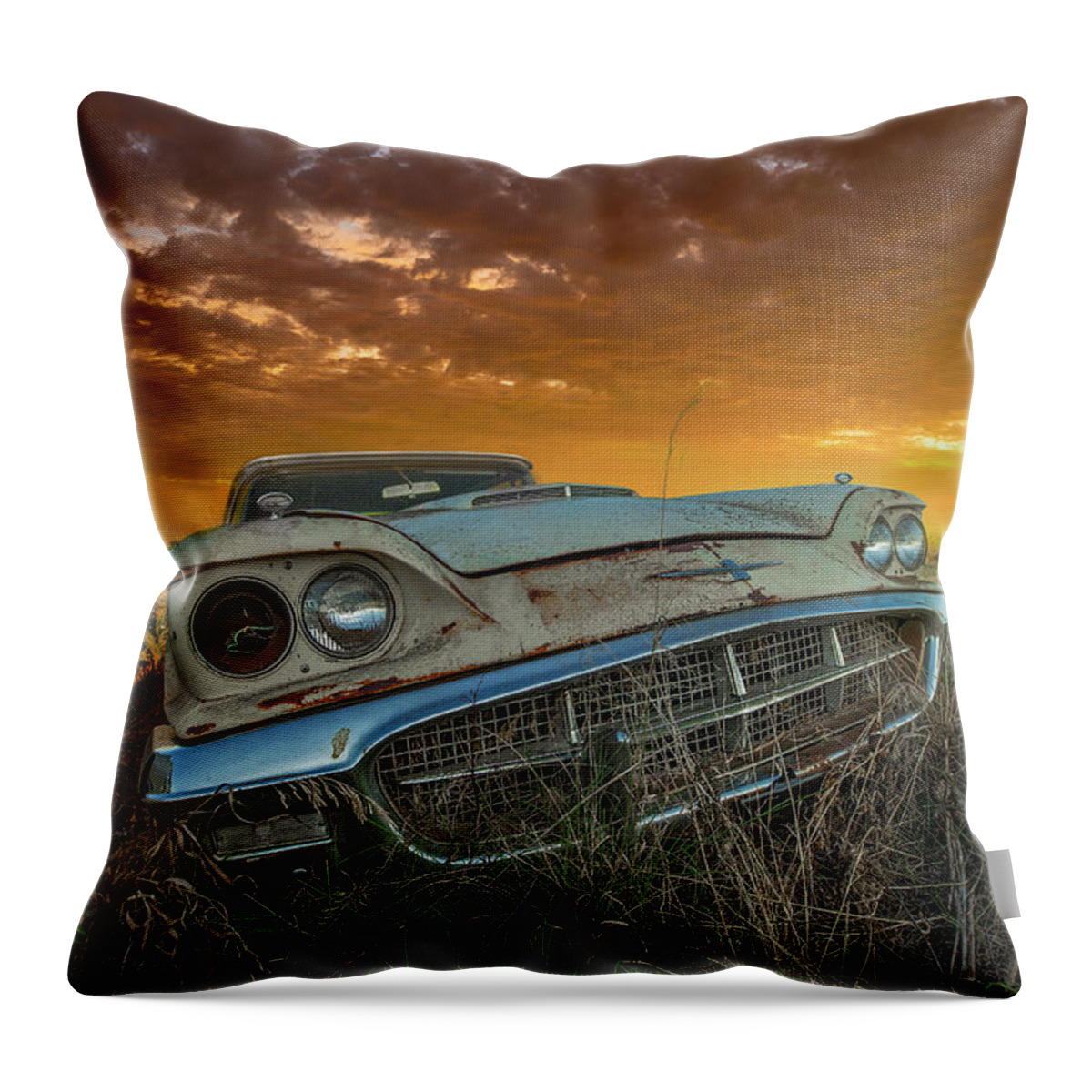 Abandoned Throw Pillow featuring the photograph Here To Stay by Aaron J Groen