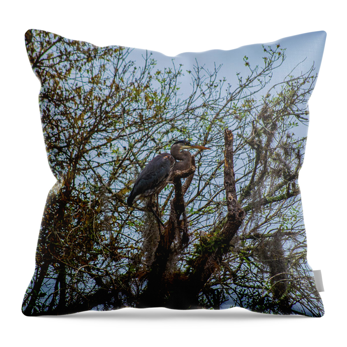 Florida Throw Pillow featuring the photograph Heron Amoung Trees by Gordon Sarti