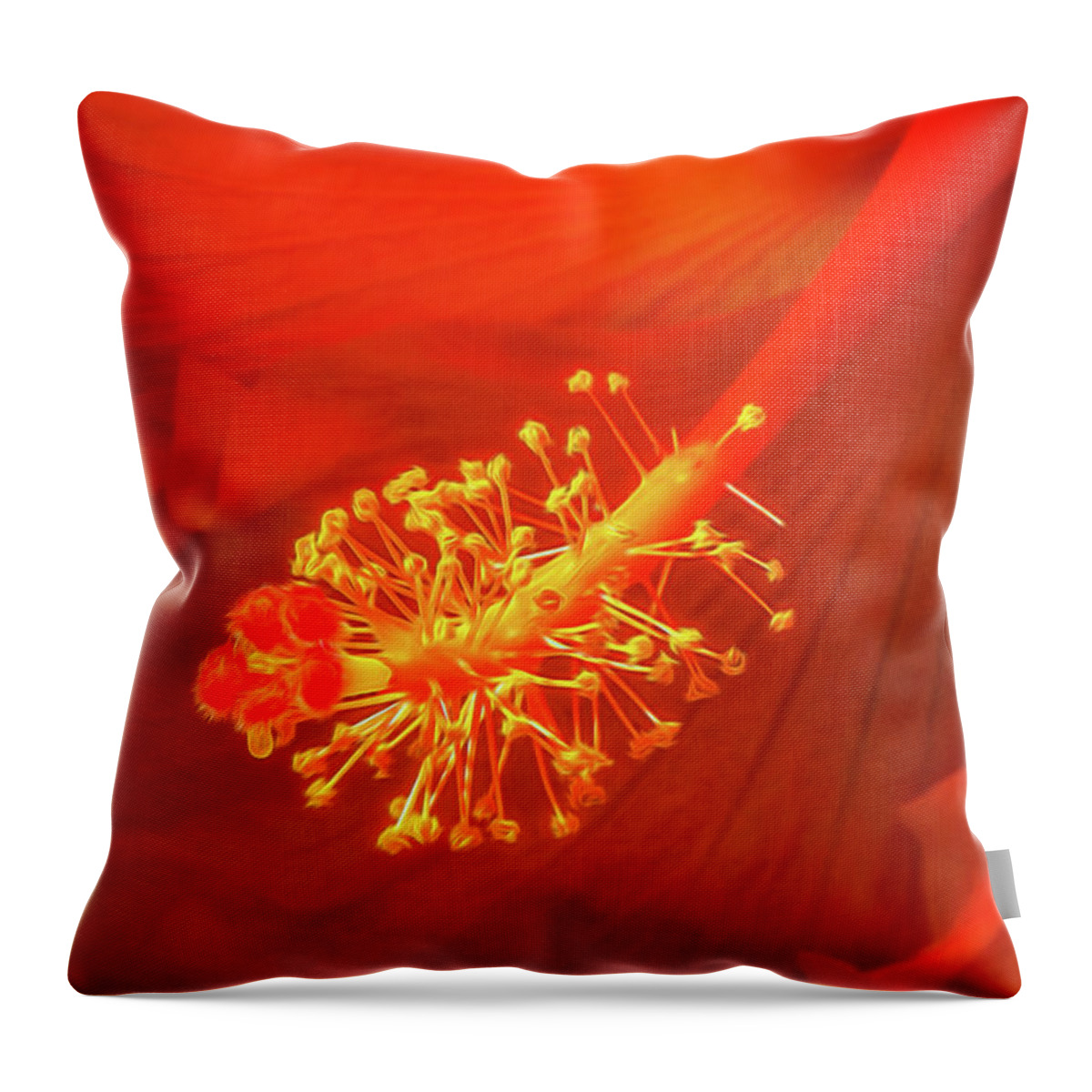 Hibiscus Throw Pillow featuring the photograph Hibiscus Glow by Karen Smale