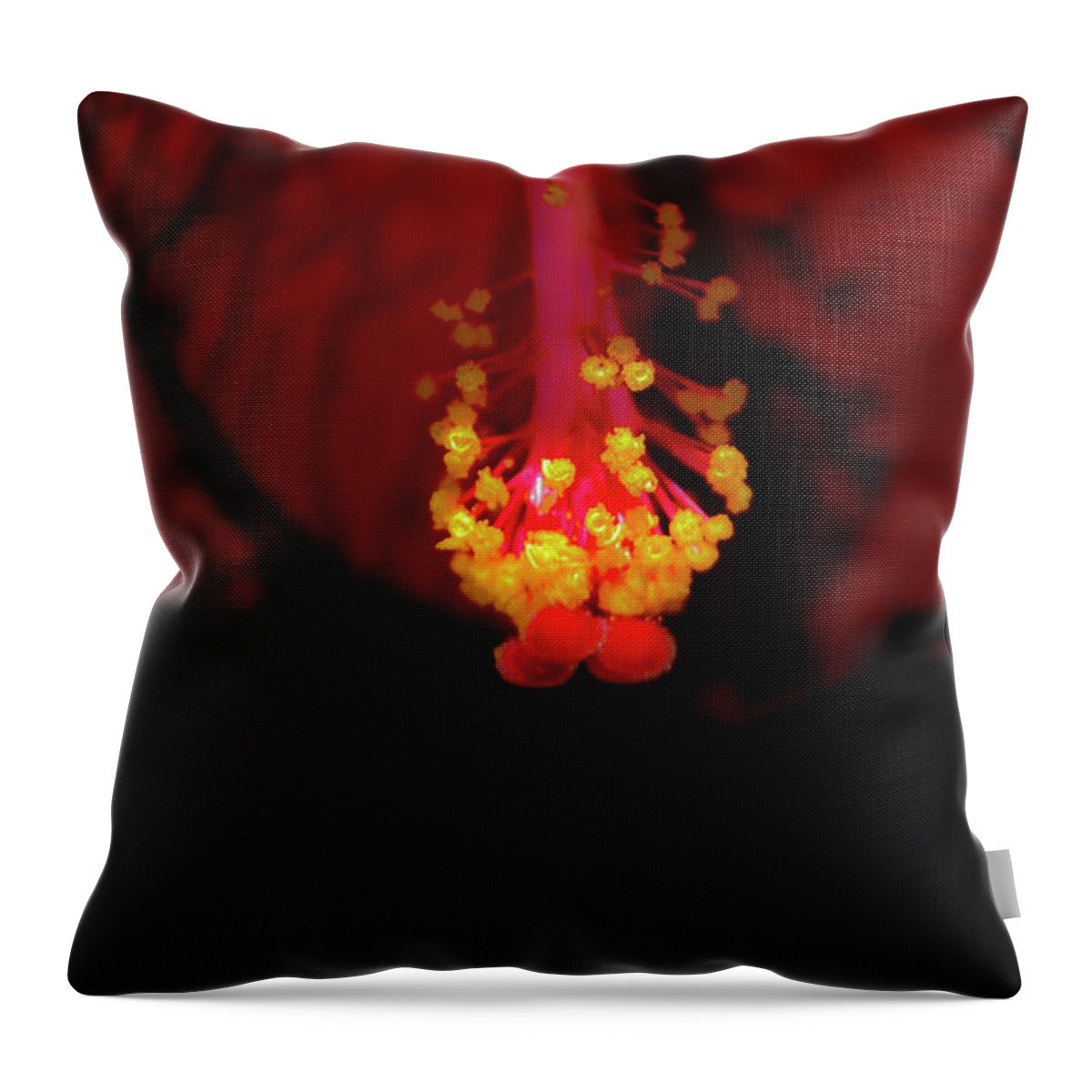 2168 Throw Pillow featuring the photograph Hibiscus Macro by Al Bourassa