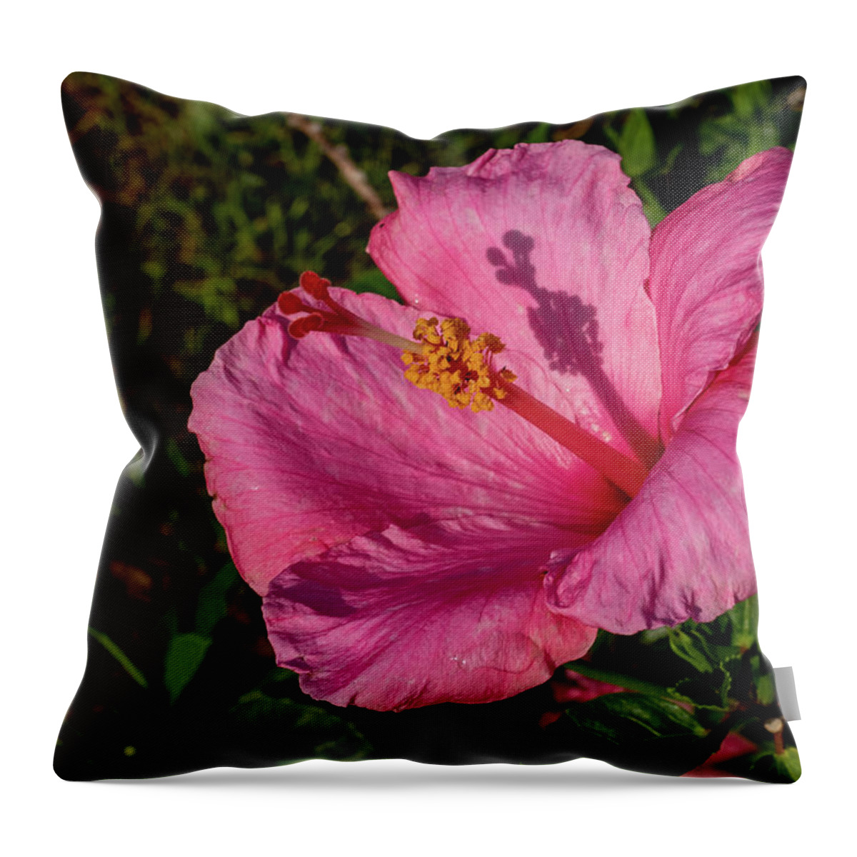 Hibiscus Throw Pillow featuring the photograph Hibiscus with Shadow by Margaret Zabor