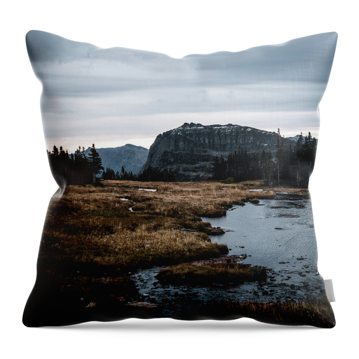  Throw Pillow featuring the photograph Hidden Puddle Overlook by William Boggs