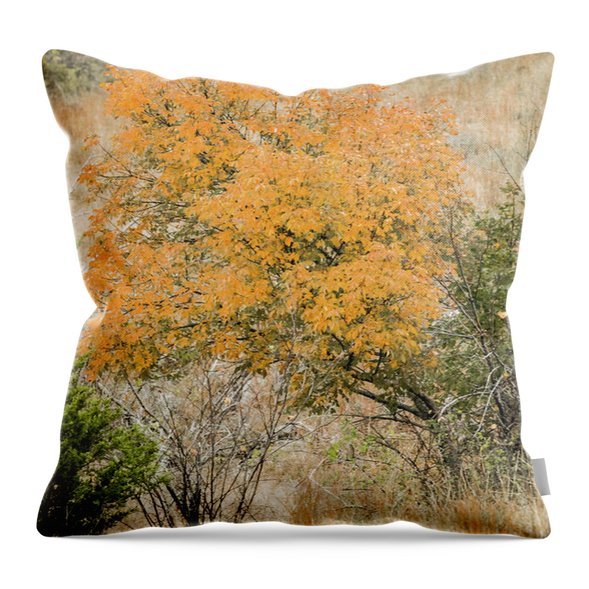 Orange Throw Pillow featuring the photograph Hidden Spirit by Iris Greenwell