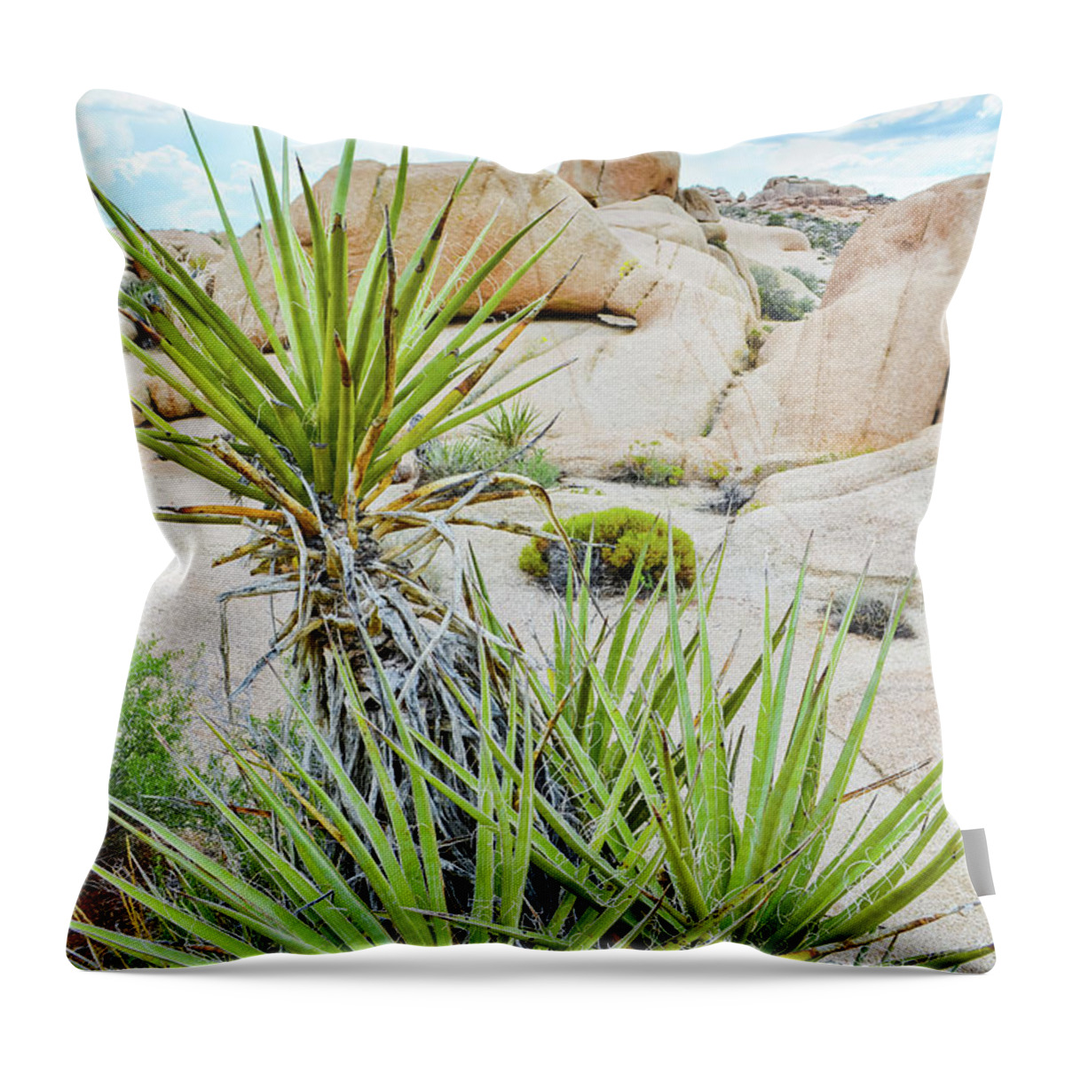 Joshua Tree Throw Pillow featuring the photograph Hidden Valley Yucca by Kyle Hanson